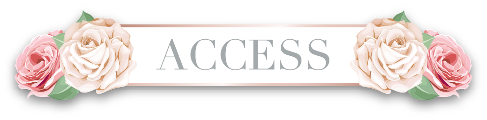 ACCESS